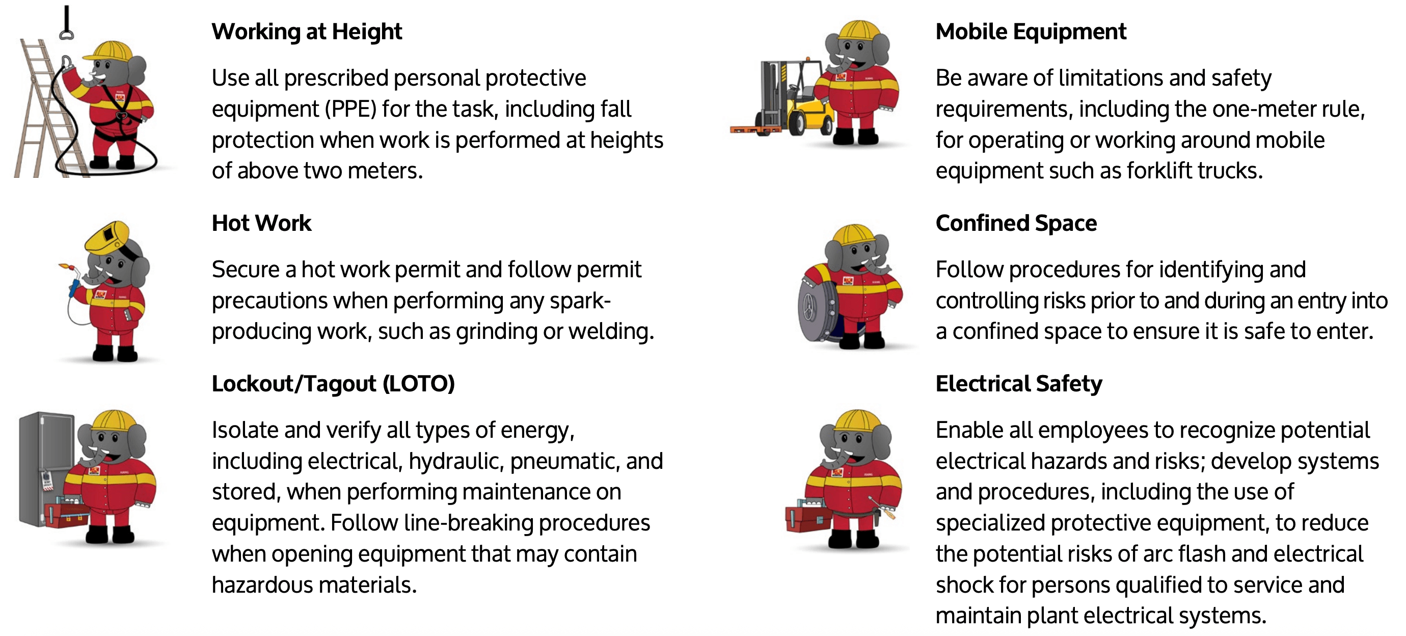 Birla Carbon-The Safe Six-Key Health & Safety Risks.png