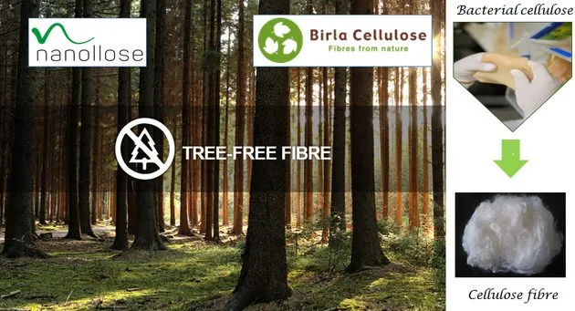 Birla-cellulose-01.webp