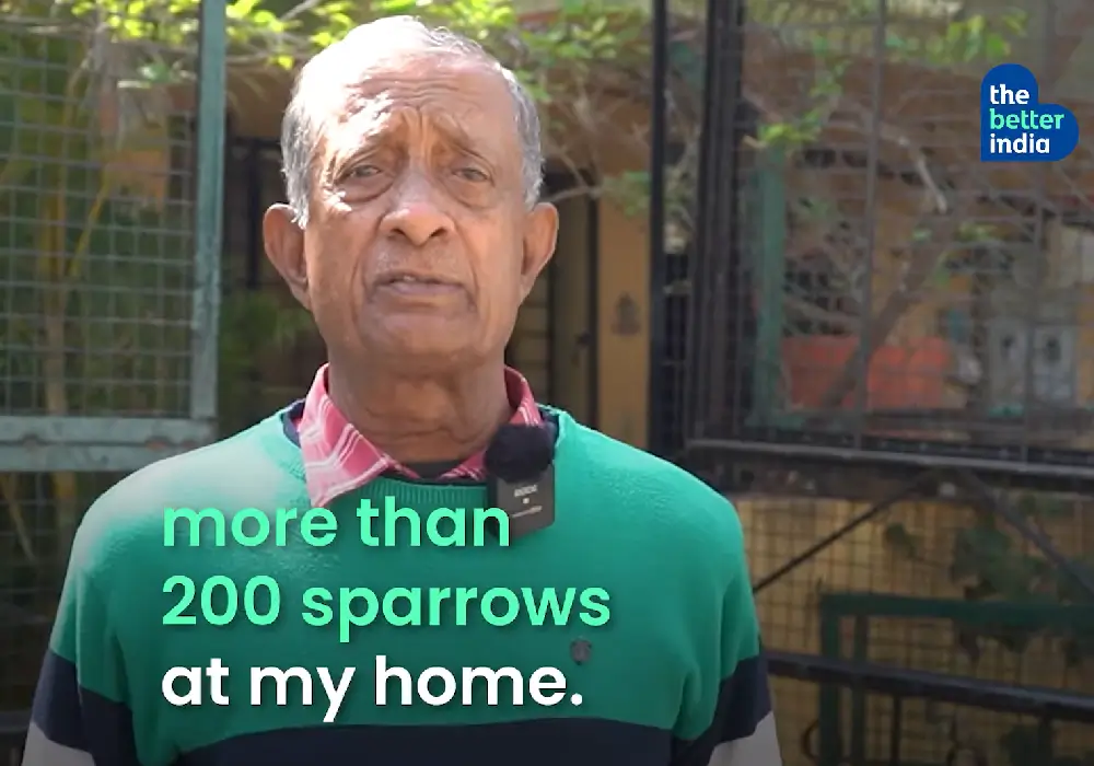 退休政府雇员将家变为麻雀庇护所