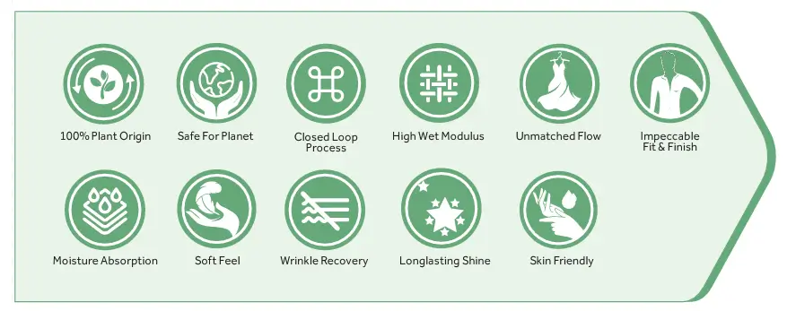 birla-model-framework.webp