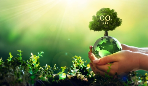decarbonisation-efforts.webp
