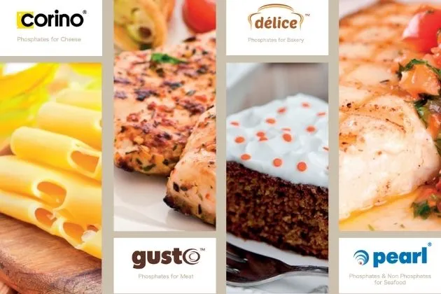 food-processing-collage.webp