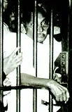 gandhi_smriti10.webp
