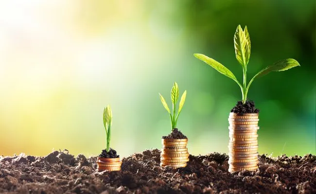 green-finance.webp