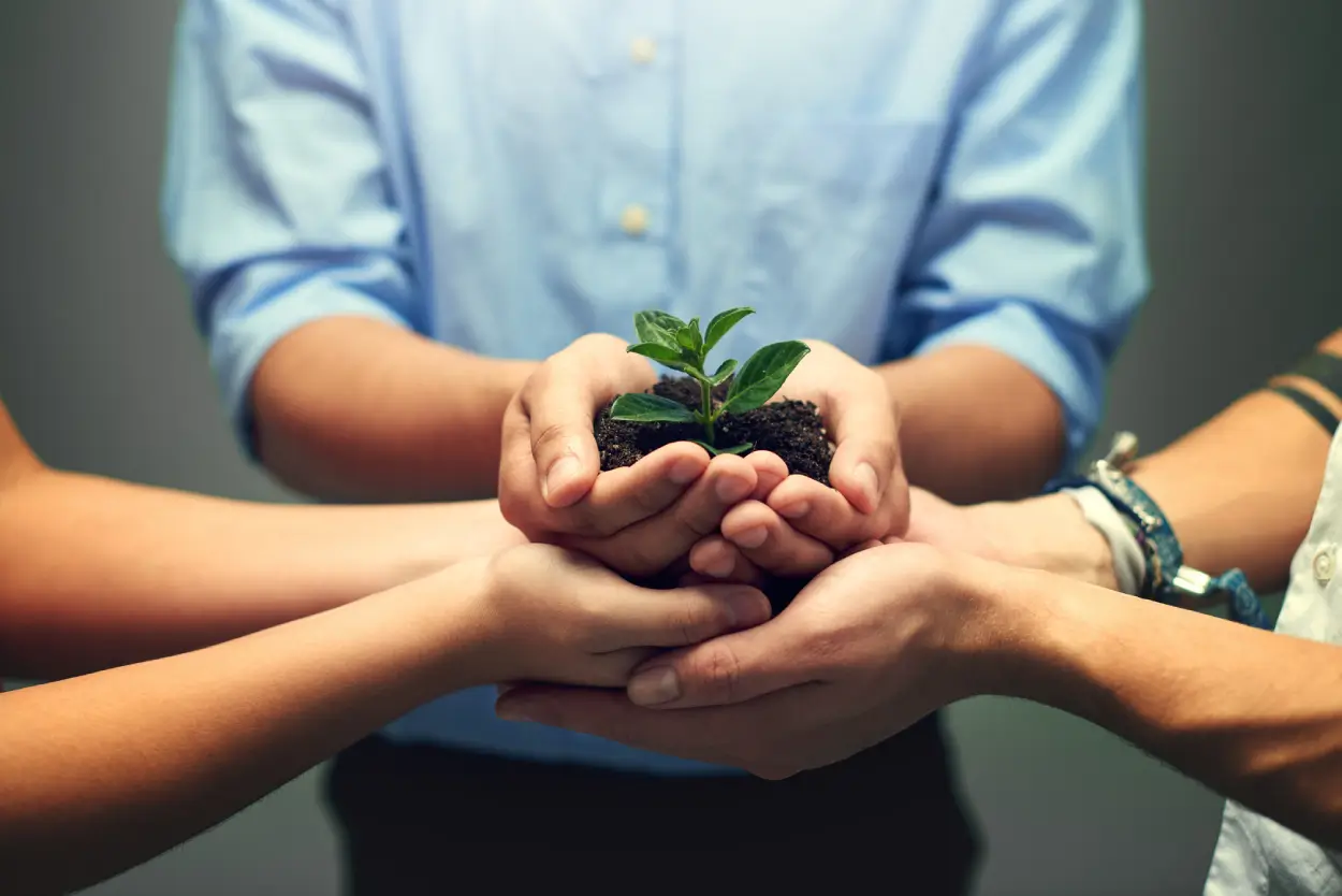 growth-is-nurtured-slowly.webp