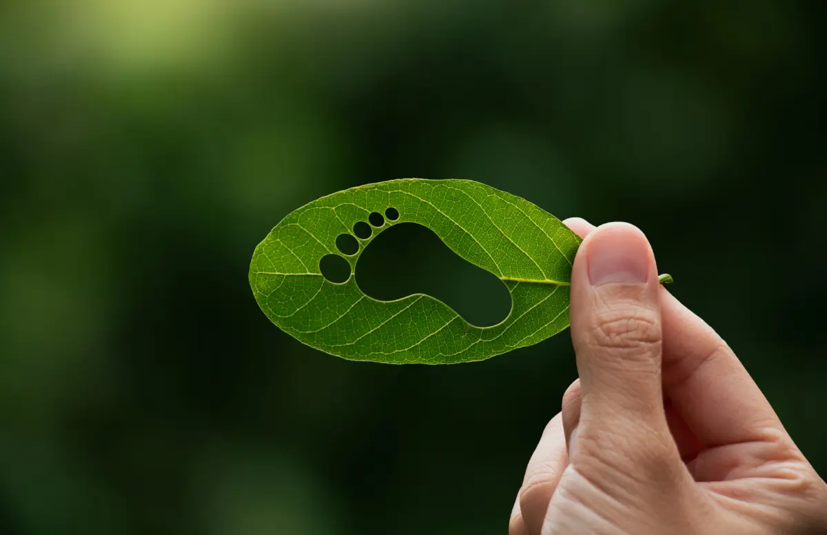 hand-of-human-is-holding-green-leaf-with-carbon-footprint.webp