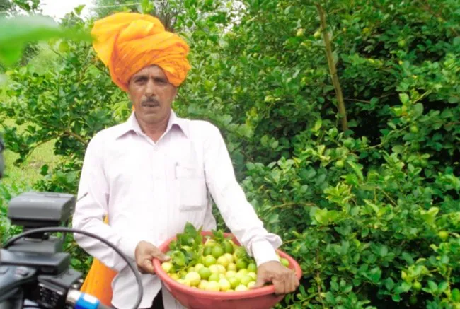 sustainable-livelihoods.webp