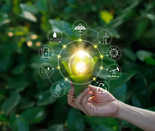 sustainable-solution.webp